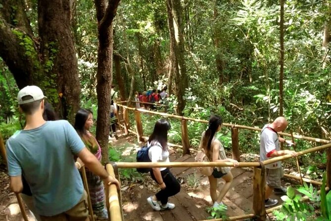 Full-Day Doi Inthanon National Park Tour with Trek and Pagodas - Karen Hill Tribe village visit: cultural contact, time limits, and respect