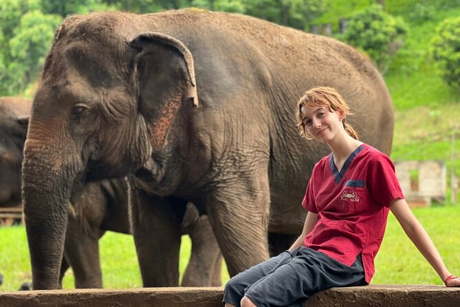 Full Day Experience at Ran-Tong Save & Rescue Elephant Centre - Lunch at the center: Thai food, seasonal fruit, and vegan options