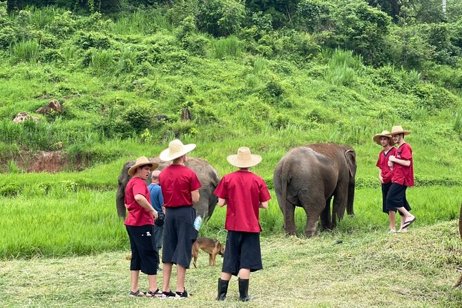 Full Day Experience at Ran-Tong Save & Rescue Elephant Centre - What to bring: clothes, shoes, and the usual Chiang Mai annoyances