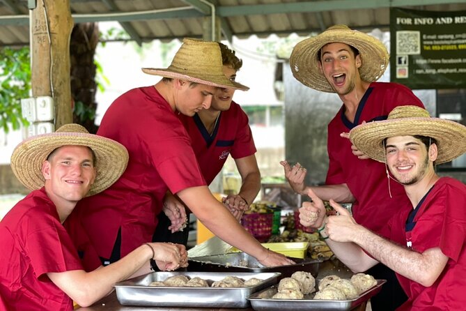 Full Day Experience at Ran-Tong Save & Rescue Elephant Centre - Price and value: is $90.86 worth it?