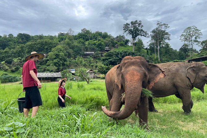 Full Day Experience at Ran-Tong Save & Rescue Elephant Centre - The elephant-school start: changing into Karen-style mahout clothes