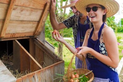 Full-Day Thai Cooking Class with Grandma - Market and Farm Tour - Farm Time: Rice Fields, Gardens, Chickens, and Mushrooms