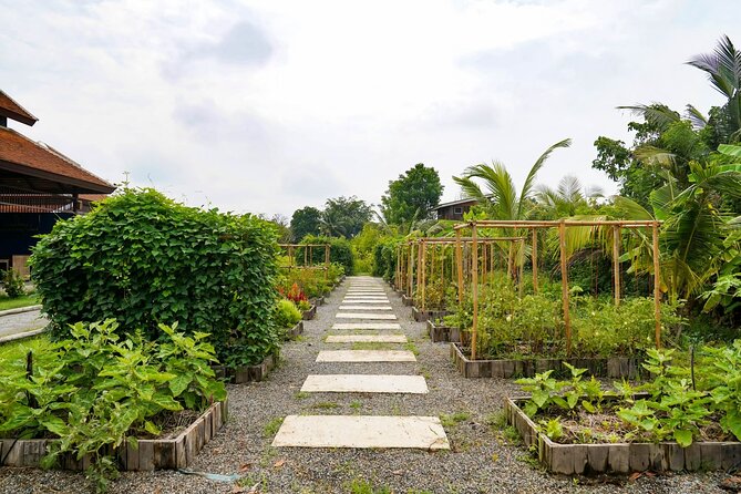 Full-Day Thai Cooking Class with Grandma - Market and Farm Tour - Logistics That Actually Matter: Pickup, Duration, and Comfort