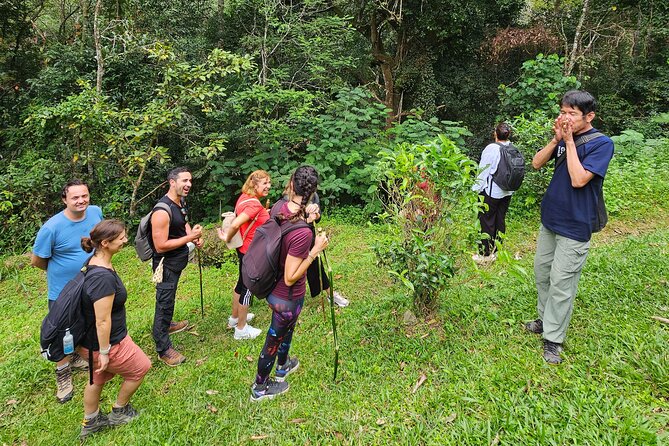 Full-Day Trekking and Sightseeing Tour in Mae Kampong - Who this tour fits best (and who should think twice)