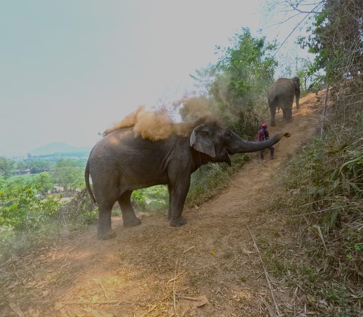 Full-day with CHIANGMAI ELEPHANT CARE and Sticky waterfall - Why This Elephant Care + Sticky Waterfall Day Works So Well