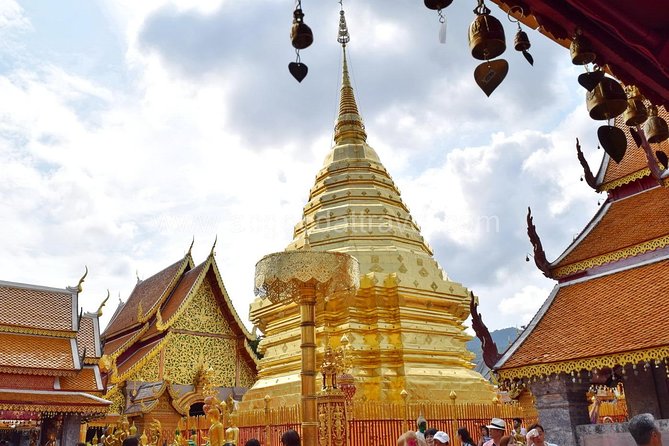 Half Day Doi Suthep Temple and Palad Temple (Private tour) - Your guide can personalize the pace at both temples