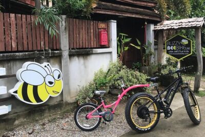 Half-day E-bike Countryside and rice paddies (flat land, GUIDED) - Wat Ton Kwen: a Lanna-style temple start with quick, satisfying stops
