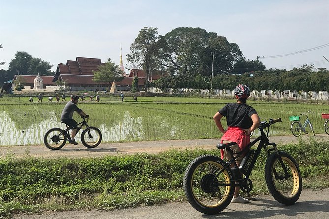 Half-day E-bike Countryside and rice paddies (flat land, GUIDED) - Hang Dong and “less touristic” village stops that add texture
