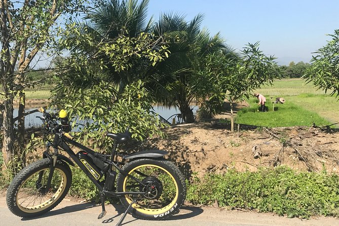 Half-day E-bike Countryside and rice paddies (flat land, GUIDED) - Who should book this e-bike countryside ride (and who might reconsider)