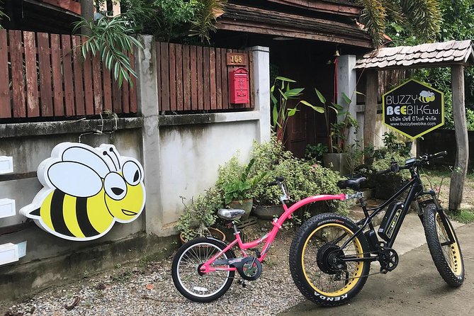 Half-day E-bike Countryside and rice paddies (flat land, GUIDED) - Wat Ton Kwen: a Lanna-style temple start with quick, satisfying stops