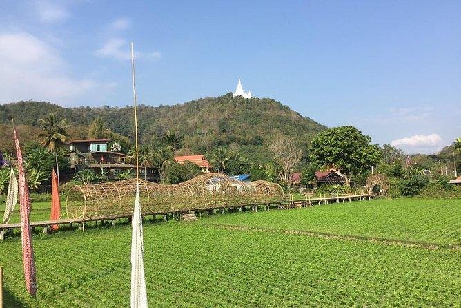 Half-day E-bike Nam Phrae (hilly, fully paved roads, GUIDED) - Your route: from Thai countryside roads to a Lanna-style temple stop