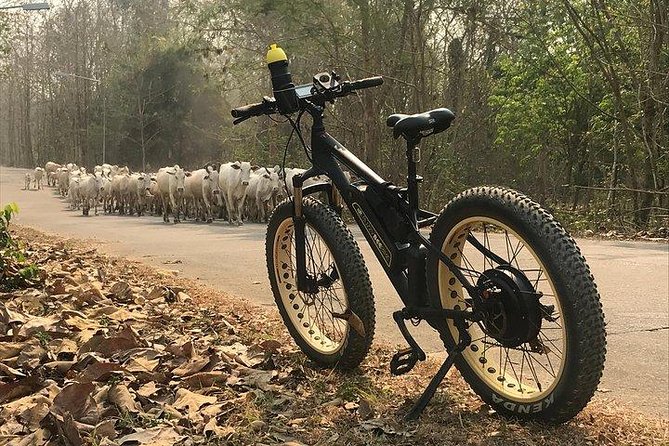Half-day E-bike Nam Phrae (hilly, fully paved roads, GUIDED) - Pacing: what you can expect from the guide and the group size