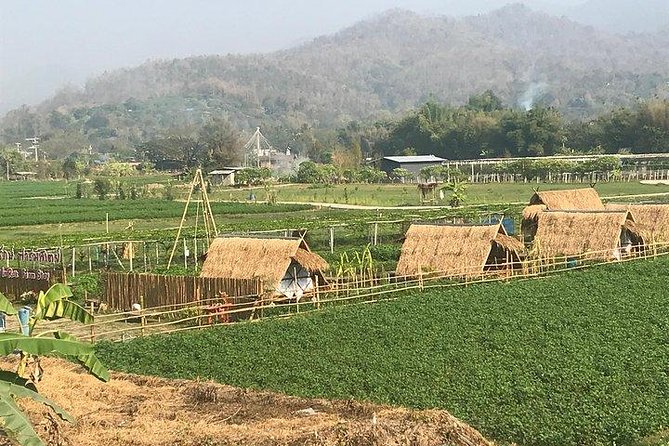 Half-day E-bike Nam Phrae (hilly, fully paved roads, GUIDED) - Who should book this Nam Phrae e-bike tour (and who might want to rethink it)