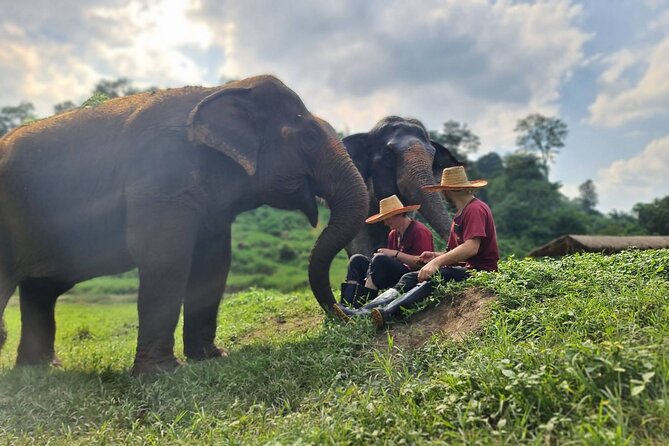 Half-Day Elephant Experience at Rantong - Guides make the day: Seven, Rambo, Nikon, and Oh-Oh