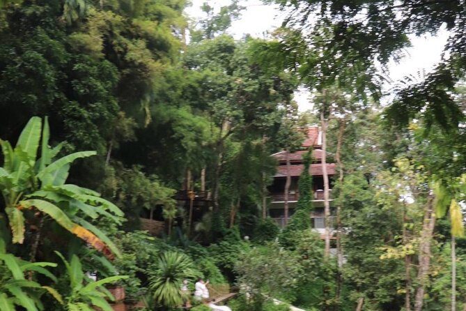 Half Day Morning Wat Pha Lat & Wat Phra That Doi Suthep Tour - Half-Day Morning Temple Route: Pickup Timing That Sets the Tone