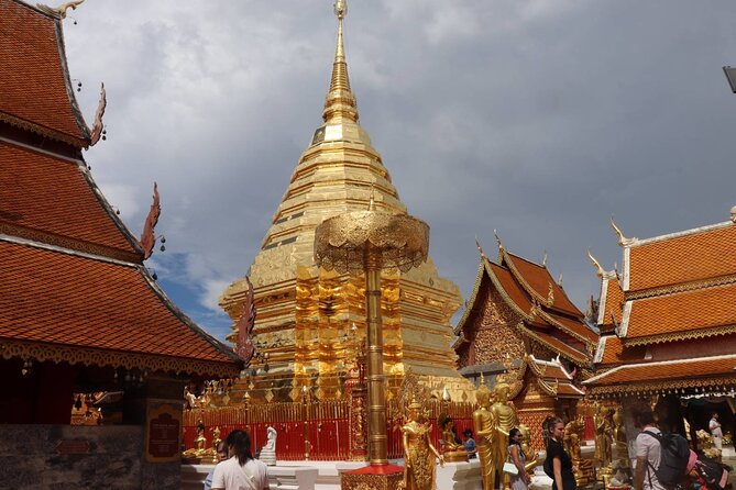 Half Day Morning Wat Pha Lat & Wat Phra That Doi Suthep Tour - Book It or Skip It: My Decision Checklist