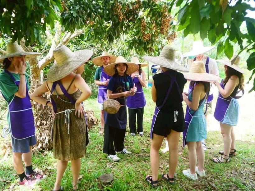 Half-Day Thai Cooking Class on a Local Farm Near Chiang Mai - The Market Stop: Learning What to Buy for Thai Cooking