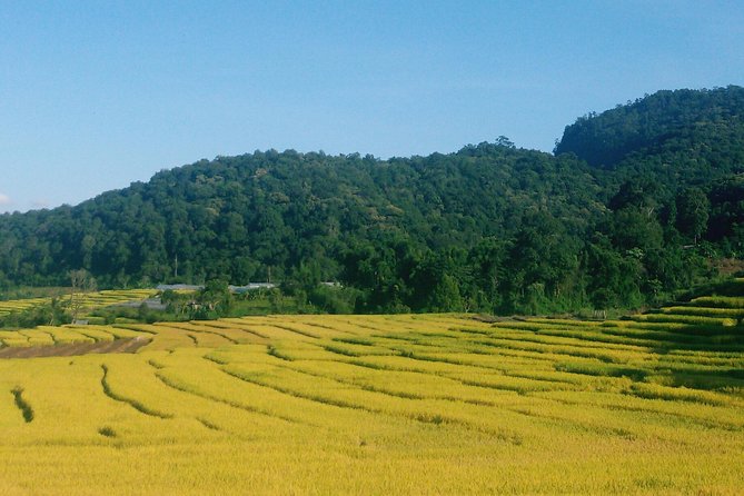 Inthanon Day Trip from Chiang Mai with Lunch - Group or Private - Price and what $81.53 buys you (and why it’s fair)