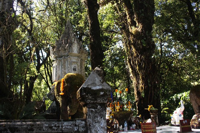 Inthanon Day Trip from Chiang Mai with Lunch - Group or Private - Karen Hill Tribe village and coffee: a cultural stop with a real human face