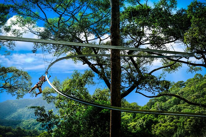 Jungle Flight Zipline Roller Coaster - Why This Chiang Mai Zipline Feels Like More Than a Zipline