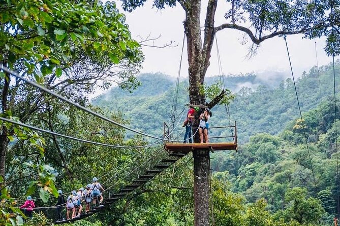 Kingkong Smile Zipline Adventure Tour From Chiang Mai - Price and Value: Is $79.39 Worth It?