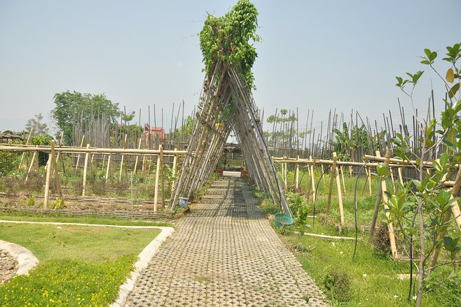Morning Cooking Class in Organic Farm with Local Market Tour - Who this cooking class fits best