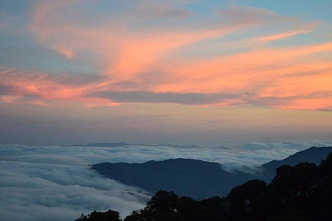 Mount Doi Inthanon National Park Sunrise and Hiking - Why This Sunrise Hike Works Better Than a Standard Day Trip