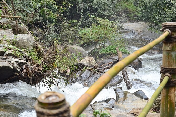 Mount Doi Inthanon National Park Sunrise and Hiking - Meals and Coffee: The Stuff That Makes an Early Start Worth It