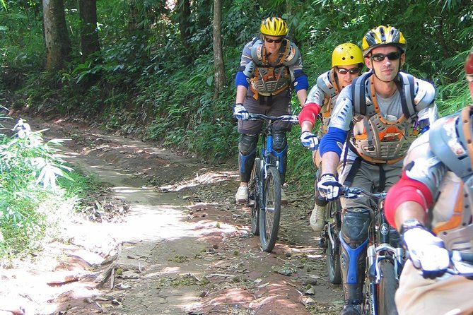 No.1 Chiang Mai: Advanced Downhill Mountain Biking, Suthep N.Park - Chiang Mai Pickup and Small-Group Rhythm