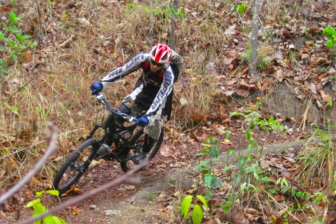 No.1 Chiang Mai: Advanced Downhill Mountain Biking, Suthep N.Park - Pro-Shop Orientation and Bike Prep: Small Details That Matter
