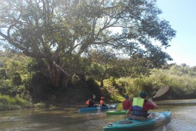 No.1 Chiang Mai: Leisure River Kayaking: Mae Taeng forest Reserve - The First Paddling Segment: Turning Technique Into Real Steering