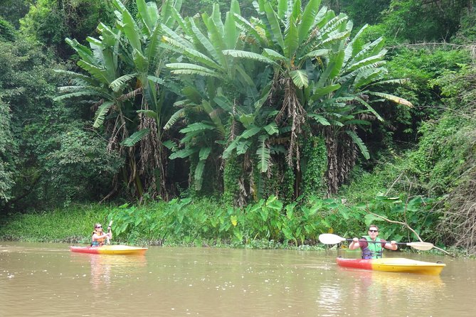 No.1 Chiang Mai: Leisure River Kayaking: Mae Taeng forest Reserve - Price and Logistics: Is $74.95 Good Value?