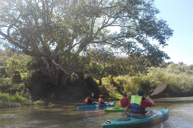 No.1 Chiang Mai: Leisure River Kayaking: Mae Taeng forest Reserve - The First Paddling Segment: Turning Technique Into Real Steering
