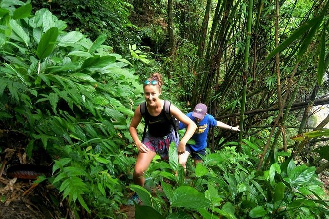 One Day Hiking and Elephant experience by Chiang Mai Elephant Home - Key Things That Make This Tour Worth Your Time