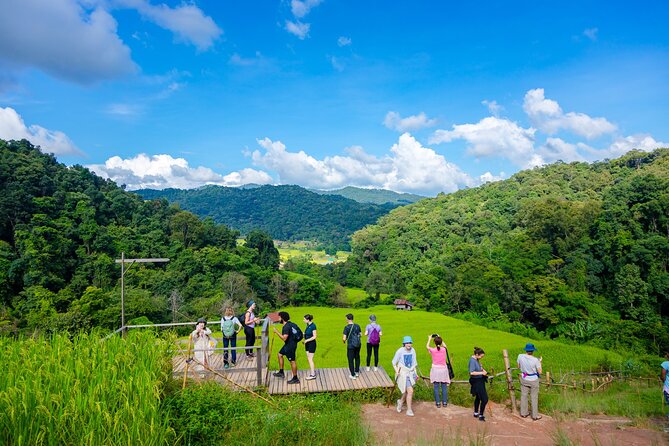 Pha Dok Siew Nature Trail & Doi Inthanon National Park From Chiang Mai - Pha Dok Siew & Doi Inthanon: Why This Tour Works