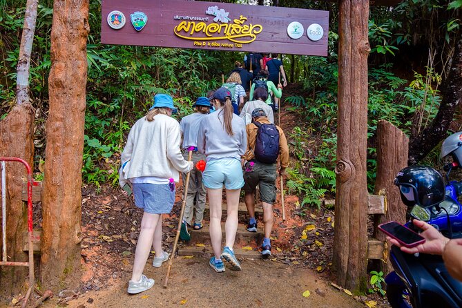 Pha Dok Siew Nature Trail & Doi Inthanon National Park From Chiang Mai - The Main Event: Pha Dok Siew Nature Trail (About Two Hours)