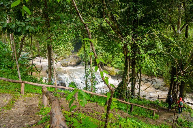 Pha Dok Siew Nature Trail & Doi Inthanon National Park From Chiang Mai - Hill-Tribe Visits and Coffee: More Than a Photo Stop