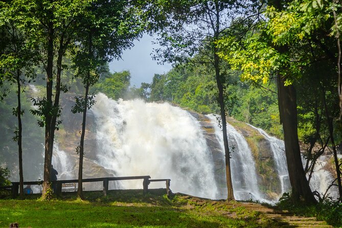 Pha Dok Siew Nature Trail & Doi Inthanon National Park From Chiang Mai - Lunch Included: One Less Thing to Plan