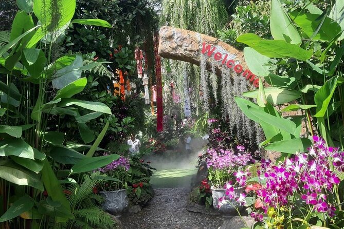 Private Tour Chiang Rai 3 Wonderful Temples & Lalitta Cafe - Mae Khachan Hot Spring: the reset stop before the temples