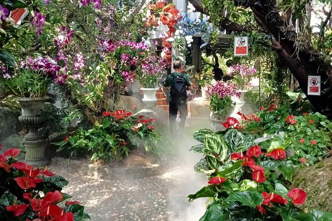 Private Tour Chiang Rai 3 Wonderful Temples & Lalitta Cafe - Price and value: what $141 buys on a private temple day