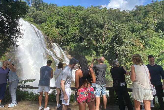 Private Tour to Doi Inthanon including Twins Pagodas and Hiking - Pha Dok Siew Waterfall Steps and Jungle Detail