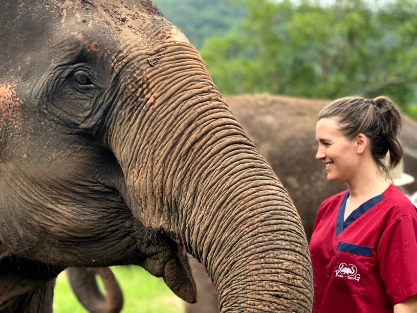 Rantong elephant sanctuary Chiangmai - FAQ