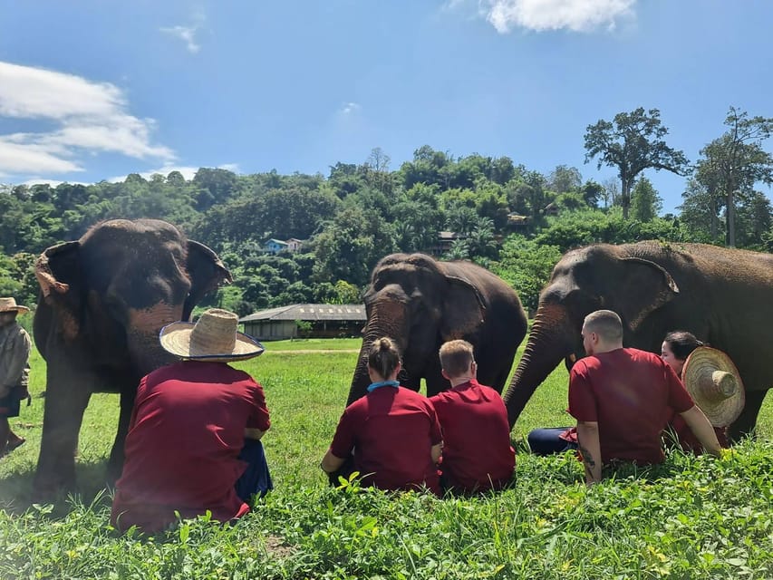 Rantong elephant sanctuary Chiangmai - Bath time and the stuff you need: how the camp keeps you comfortable