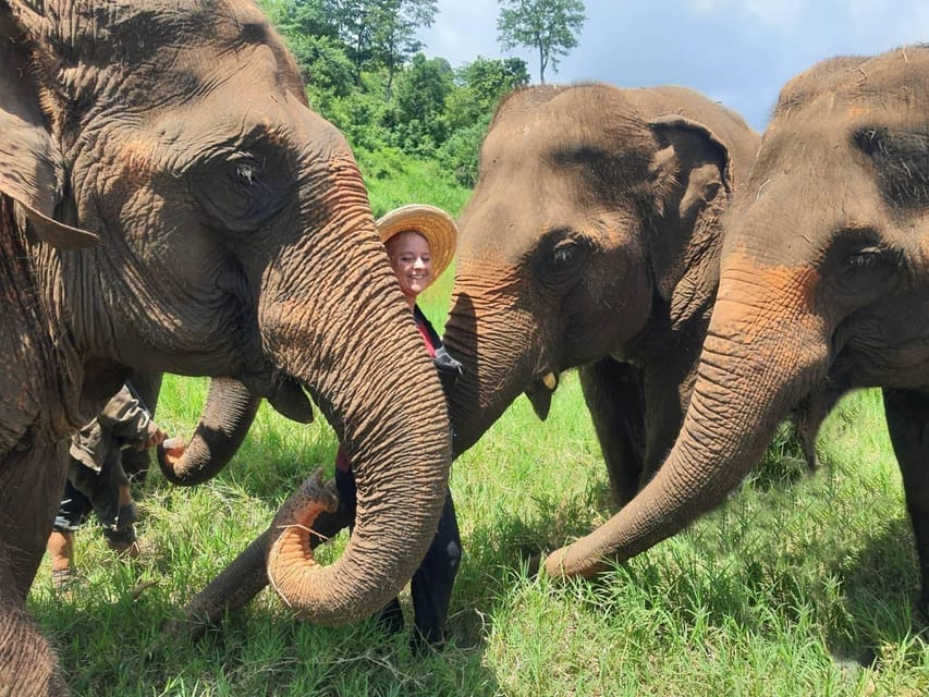 Rantong elephant sanctuary Chiangmai - The half-day rhythm: coffee, tea, guided touring, and Thai meals