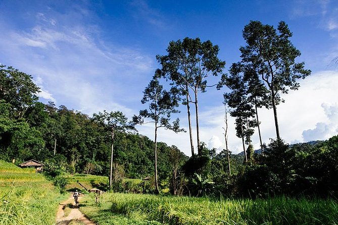 Rural Explorer Mountain Biking Tour Chiang Mai - Entering the Ride: What This Tour Is Like in Practice