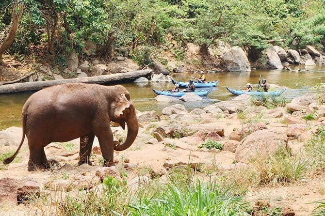 Safety whitewater rafting in Chiangmai by Khampan Rafting - Pickup, Mobile Ticket, and a Max of 20: Logistics That Don’t Eat Your Day