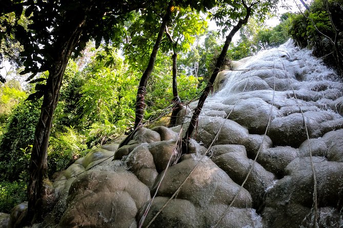 Sticky Waterfall Cycling Tour - Key Points You’ll Care About