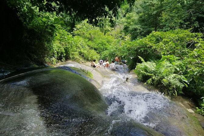 The Best Full Day Tour: Doi Suthep, Wat Phalat, Sticky Waterfall - Wat Pha Lat: the quieter temple break in the evergreen forest