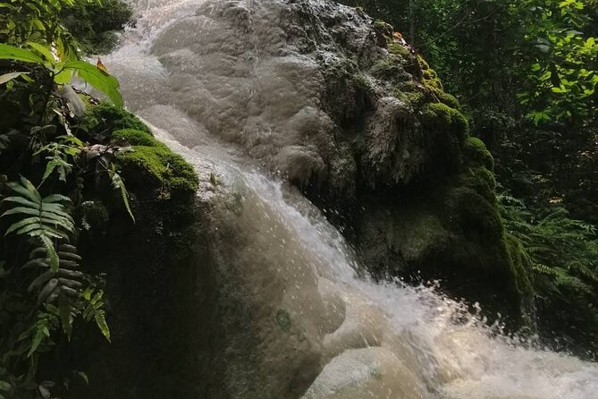 The Best Full Day Tour: Doi Suthep, Wat Phalat, Sticky Waterfall - Logistics that affect your comfort: driving time and a full schedule