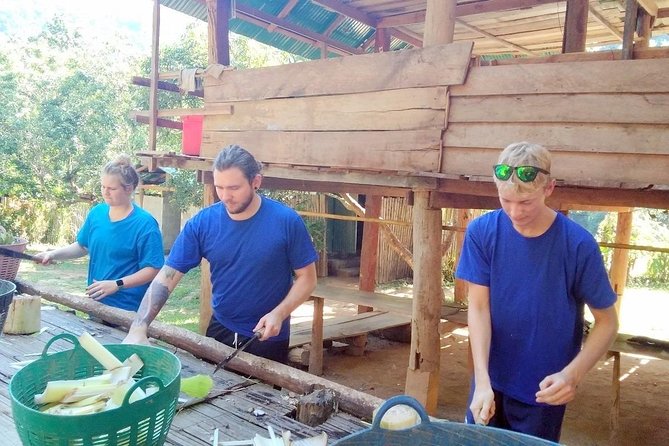Top Pick - Full or Half Day @Elephant in Wild Sanctuary ChiangMai - Elephant Sanctuary Time: Feeding, Mud Spa, and River Washing (No Riding)